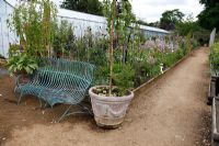 Blue metal bench and plants for sale at Petersham Nurseries, Richmond, Surrey