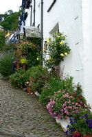 Steep cobbled street is lined with plants in containers. Clovelly Court, Bideford, Devon, UK