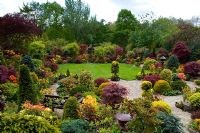 Oriental style garden with borders of Acers, Erysimum, Viola -  Pansies, Azalea, Taxus - Yew topiary and Abies around lawn. Wooden bench on patio. Tony and Marie Newton, Walsall, UK
