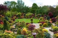 Oriental style garden with borders of Acers, Erysimum, Viola - Pansies, Azalea, Taxus - Yew topiary and Abies around lawn. Wooden bench on patio. Tony and Marie Newton, Walsall, UK 
 
