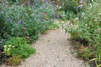 Gravel path with borders of Buddleia 'Lochinch', Monarda 'Sagittarius', Kniphofia 'Nancy's Red', clipped Lonicera nitida and Iris germanica 'Jane Phillips' at Church View, Appleby-in-Westmorland, Cumbria NGS