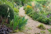 Gravel path with borders of dense mixed late flowering perennials and grasses in sloping back garden at Church View, Appleby-in-Westmorland, Cumbria. The garden is open for The National Garden Scheme
