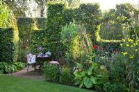 Autumn garden with shaped Fagus sylvatica - Beech hedge and patio