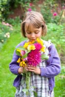 Young girl holding a bunch of colourful flowers - Dahlias, Sunflowers, Cosmos and Marigolds