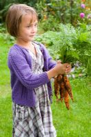 Young girl holding bunch of freshly dug Carrots