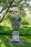 Antique urn on plinth with Tulipa and Viola