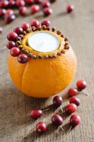 Making an orange, cranberry and clove tealight decoration - STEP 8. Once you have put in a ring of cloves, using the pins start to put a ring of cranberries on to the orange.