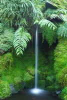 Waterfall in The Fernery at Tatton Park, Cheshire.