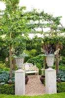 Small gravel patio under trained Tilia cordata tree and flanked by stone containers on plinths