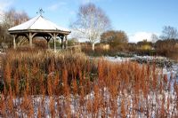 'The Millenium Garden' by Piet Oudolf at Pensthorpe in winter with Astilbe seedheads