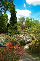 Path through the rock garden with Rhododendron and Azalea, Leonardslee Gardens, West Sussex