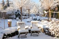 Snow covered seating area with Robinia pseudoacacia 'Umbraculifera' trees behind