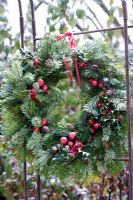Frosty Pinus - Pine wreath with Ilex - Holly, cones and baubles hanging in garden