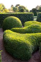 Topiary garden with clipped Buxus - Box
 