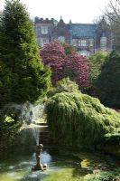 Lukesland House in Devon, in early spring with pond and large 'Cornish Red' Rhododendron
