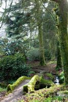 Lukesland House in Devon, in early spring with old lichen covered bridge in woodland garden