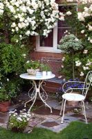 Small sunny terrace in an urban garden. White table and chairs backed by Rosa 'Snowgoose' and Rosa 'Ghislaine de Feligonde'