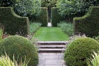 Topiary flanking stone path and steps at Wollerton Hall Garden, Shropshire
