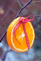 Ribbon and orange slice tied to a tree branch. Outdoor Christmas decorations