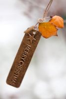 Plant tag tied to a tree branch. Outdoor Christmas decorations
