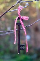 Ribbons tied to a tree branch. Outdoor Christmas decorations