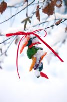 Chilli and ribbon ring tied to a tree branch. Outdoor Christmas decorations