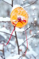 Orange slice decorated with ribbon and cranberry outdoor christmas decoration