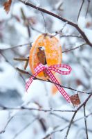 Orange slice decorated with ribbon and cinnamon - outdoor christmas decoration