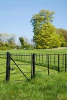 Metal field gate and black iron estate fencing bordering a paddock in Summer