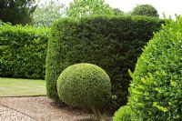 Clipped evergreen Taxus and Buxus topiary beside a gravel driveway.  