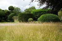 View over long grass to clipped Taxus and Buxus topiary beside a gravel driveway.  