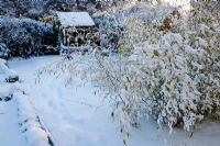 Garden under snow