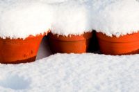 Terracotta pots covered in snow