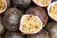 Passiflora edulis - Passion Fruit