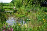 Wildlife pond with viewing platform. Plants include Dipsacus fulonum - Teasel, Silene dioica - Red Campion, Iris pseudacorus - Flag Iris, Lychnis flos-cuculi - Ragged Robin, Symphytum - Comfrey, Mentha aquatica - Water Mint