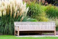 Bench with grass border behind including Cortaderia selloana - Pampas Grass and Miscanthus sinensis