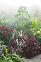 Early on a misty morning in the Exotic Garden at Great Dixter. Planting includes Paulownia tomentosa, Canna 'Durban', Dahlia 'Hillcrest Royal', Cyperus papyrus and Arundo donax var. versicolor syn. A.donax 'Variegata'
