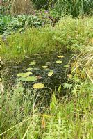 Dense emergent and aquatic vegetation surrounding garden wildlife pond at 'Springbank', Davenham, Cheshire NGS