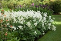 Astilbe x arendsii Bridal Veil, Primula 'Ellenbank' and Iris ensata - The Savill Garden, Windsor Great Park