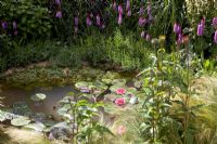 Natural pond - It's Only Natural, RHS Hampton Court 2010