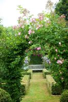 Rosalie Fiennes garden in Somerset with Rosa 'Minnehaha' growing over arch in parterre vegetable garden