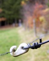 Hook on barbed wire fence