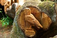 Felled oak carved with seats and scenes of birds, fish and animals by chainsaw sculptor Matthew Crabb - Abbotsbury Subtropical Gardens, Abbotsbury, Dorset