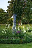 Buxus edged border of Digitalis and Hornbeam trees behind - High Hall, Suffolk
