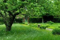 Meadow area with pathway leading to brick pillars - High Hall, Suffolk