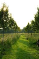Mown grass path through meadow - High Hall, Suffolk