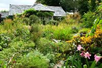 The eighteenth century lodge house surrounded by relaxed planting and self seeding perennials such as evening primrose, Stipa gigantea, Phlomis russeliana, Crinum x powellii and Ligularia dentata 'Desdemona' in the foreground - Pinsla Garden, Cardinham, Cornwall