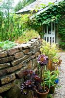 Stone wall planted with Sedums and alpines and decorated with small figurines and statuettes for the benefit of younger visitors. Containers on the ground below planted with succulents including Aeonium 'Zwartkop', Phormiums and Euonymus alatus 'Compactus' - Pinsla Garden, Cardinham, Cornwall