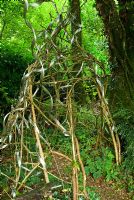 Airy shelter constructed with wood and metal waste material - Pinsla Garden, Cardinham, Cornwall,