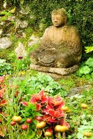 Buddha statue surrounded by self seeded Alchemilla mollis and brightly coloured Coleus - Pinsla Garden, Cardinham, Cornwall